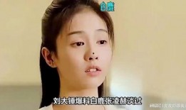 娱乐圈爆料白鹿,娱乐圈新恋情引发热议